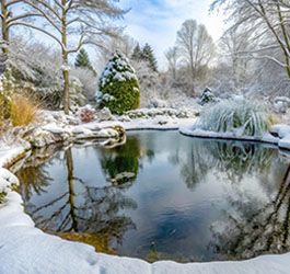 Eiszeit im Teich - Zeit zu handeln bevor das Wasser kippt